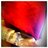 DoradoFuego's profile image