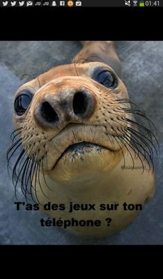 |---Go follow--- @NgOliv54 ---| Ces tweets  sont génials !