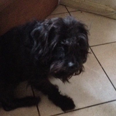 perez_bartolome's profile picture. 