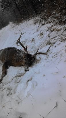 We are a group of country folks that loves to fish and hunt and loves the outdoors. we also make hunting and fishing dvd's