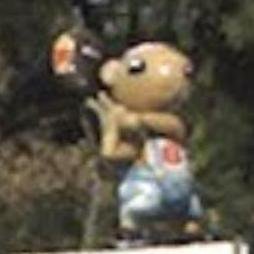 sachihoys's profile picture. 冬から春にかけてが一番好きです。一番好きなネットスラングは「実力の若林」。