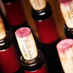 mcjcook's profile picture. Been a wild ferment since 2003, now under the Dog Point roof