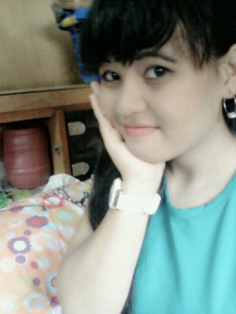 Ferry winandri