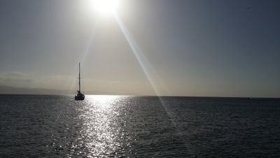 Karyfranceschi's profile picture. 