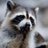 Profile Picture of Craig Gary Phillips (@@craigary) on Twitter
