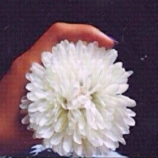 كتاباتي مُفضِلتي Instagram: noona__j
