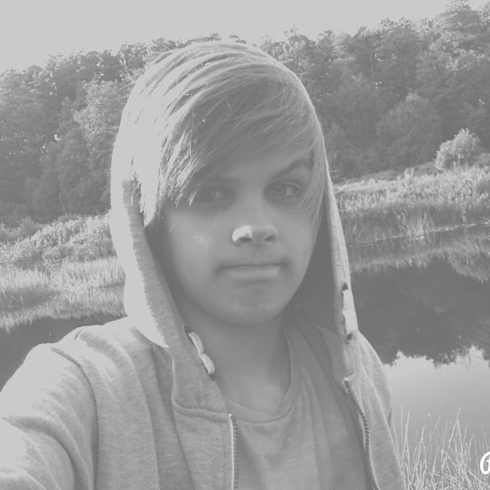 TaurineVol's profile picture. 1v1 me on Club Penguin kvikskopec only i rek u m8