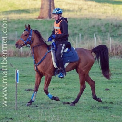 blainess121's profile picture. New to twitter