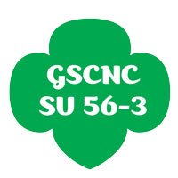 Chantilly/Centreville Virginia Girl Scouts.  Building leaders with courage, confidence and character who make the world a better place.