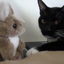 Claudia Mak - @claudiamak - Twitter