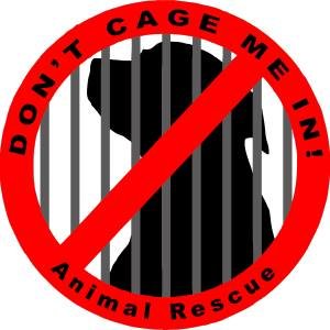 http://t.co/92nSKIdPtN We rescue animals in Tulsa, get them straight to a vet then directly to foster care until adopted. Please foster / donate!