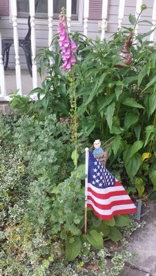 dixie925's profile picture. 