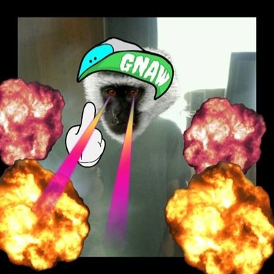 Love chewing gum !!!