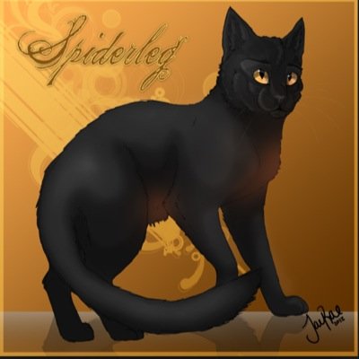 She-Cat Black Pelt with Brown underbelly Nice and quiet Mate:None Clan:None Kits:None