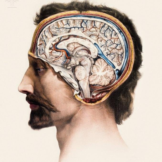Neurologue / Neurologist.