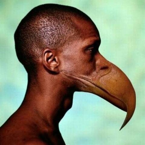 dati63's profile picture. 