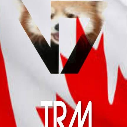 xTremble's profile picture. 