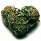 Hey. I absolutely love to make homemades. From bongs to pipes to bubblers to vapes etc. Stay lit and happy smoking.
