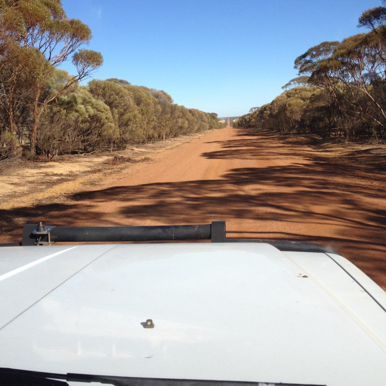 steadpb's profile picture. Business Development Manager DeltaAg WA. views are mostly mine!