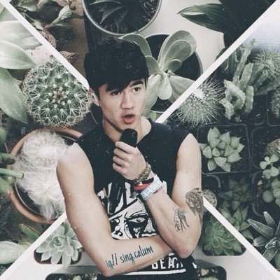 This is a free follow, please follow @ashtonftzerrie