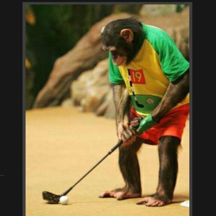 retyredgreynom1's profile picture. 