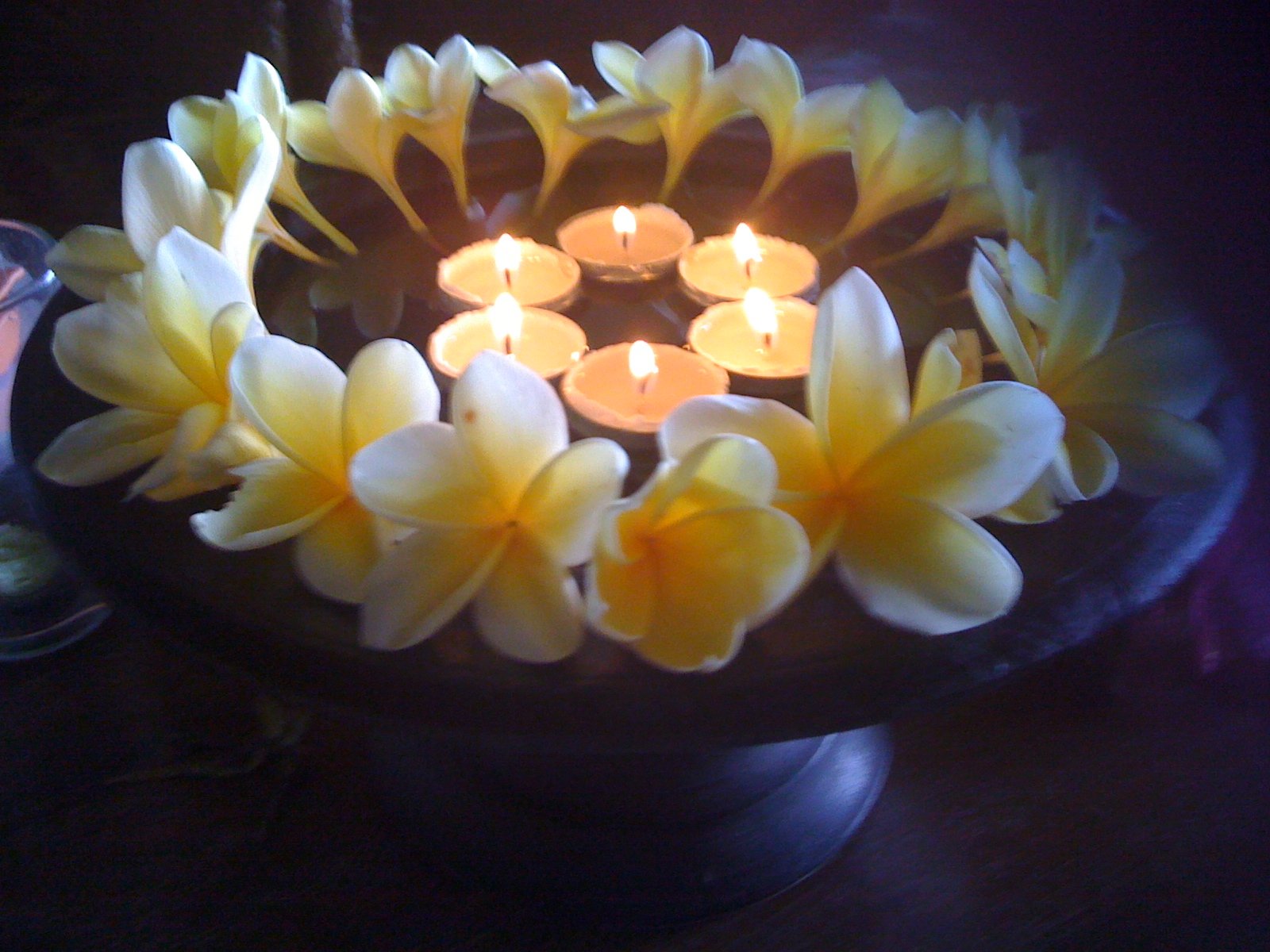 vemmahealing's profile picture. Global Healing invoking the Light and Love of Divine Essence to Vibrate Flow within through everything, All Interactions, Communications, Relationships ...