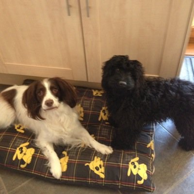 ClareAArt's profile picture. 