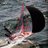29erRacing's profile image