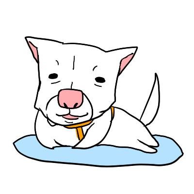 しゅもさんのプロフィール画像