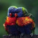 NORMA DOYLE - @ndoyle27 - Twitter