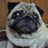 Banerji_D's profile image