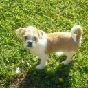 cathy pennington - @clpennington101 - Twitter