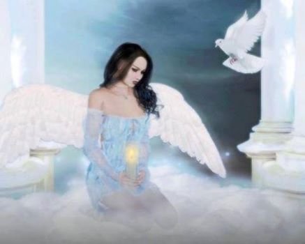 PerrinNicholle's profile picture. The weak can never forgive. Forgiveness is an attribute of the strong.