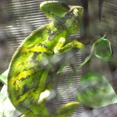 WoodsEmmett's profile picture. 