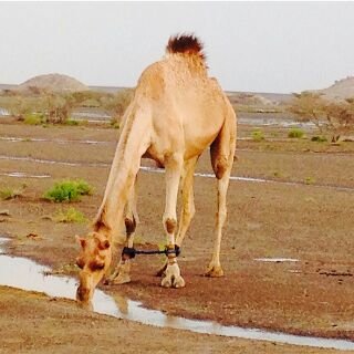 وَ ليس أجملُ من تواضع ، وَ لا أرقى من أدب ، وَ لا أحنُّ من ابتسامة ، إذا مُزجتْ بِـ صدق صاحبها ..