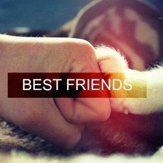 GuineaPigsLover's profile picture. In love with all animals ❤️❤️