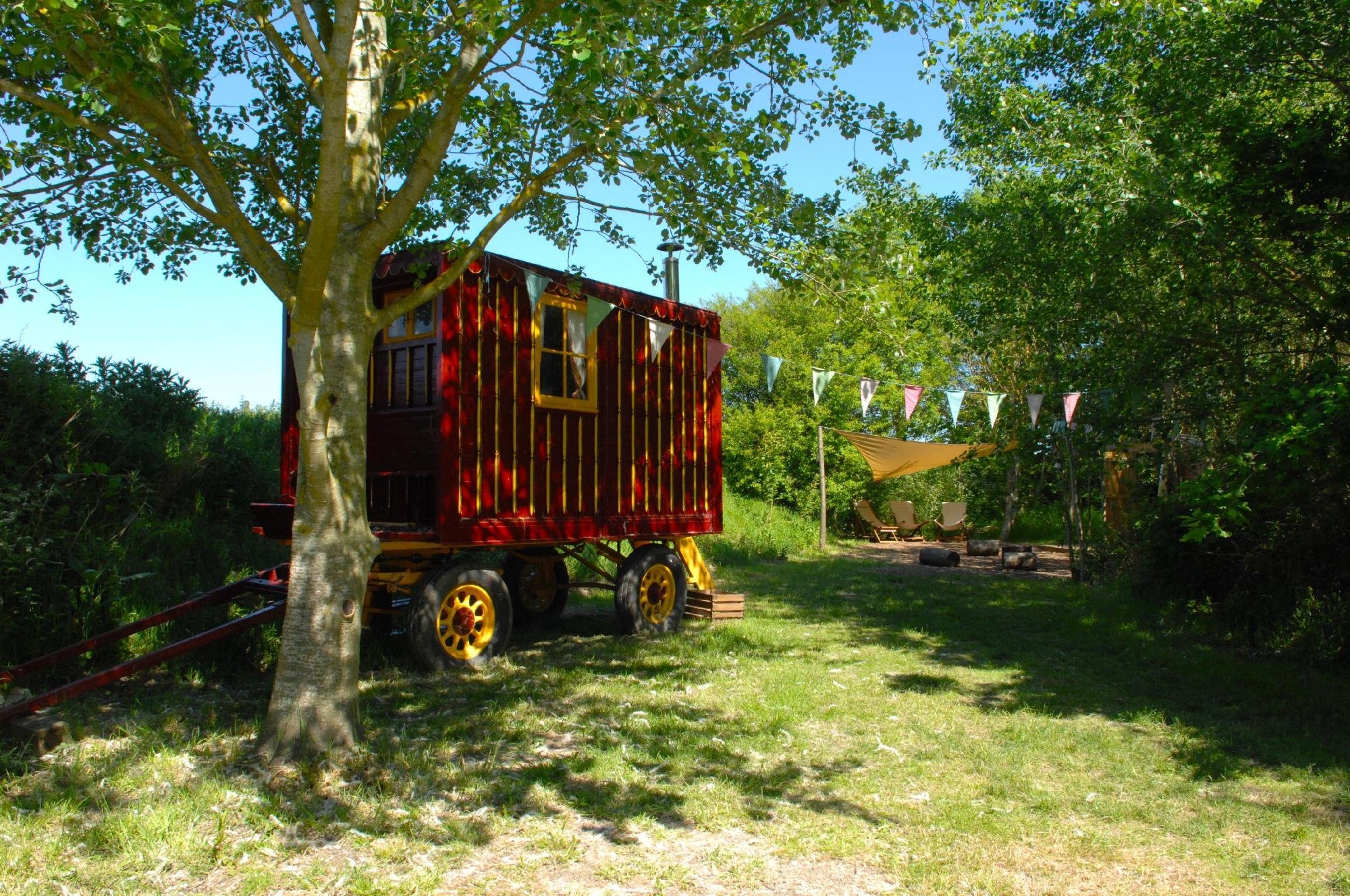 Camp with us in natural Kent countryside, kids go wild, owls, bats and birds, fresh veg, blackberries and damsons. Whitstable, Margate and Canterbury to visit.