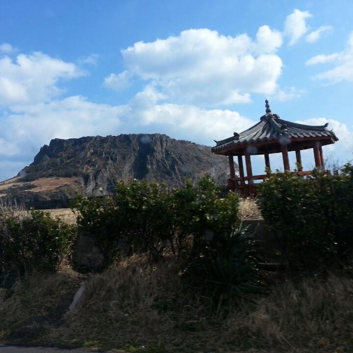 pdk116's profile picture. 