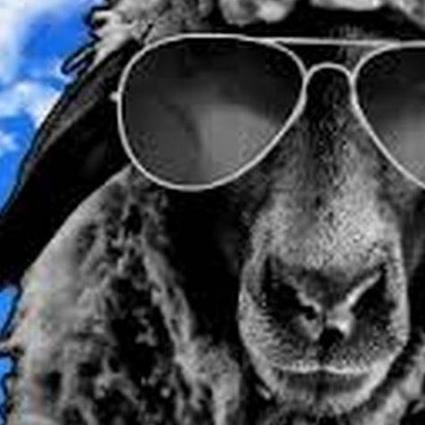 AureliaOwca's profile picture. 