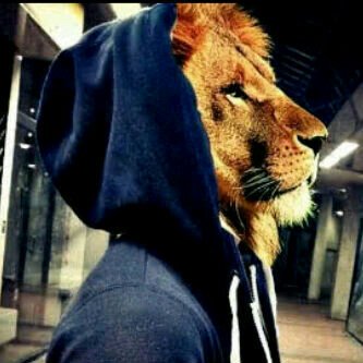 RobocallNigeria's profile picture. Be heard like a roar