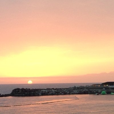 navarrito112's profile picture. 