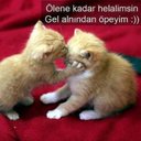 hasreti nazlım (@1978Oc) Twitter
