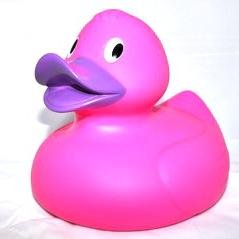 Pink Duck beats Blue Bird. Here to conquer Twitter and achieve Internet domination. MUAHAHA. Follow me, I always follow back.