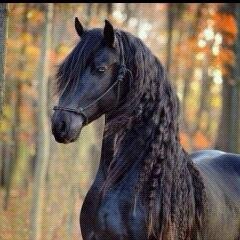 3c2f1928bd9149e's profile picture. 