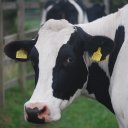 Alec Carpenter - @Alec_Carpenter - Twitter