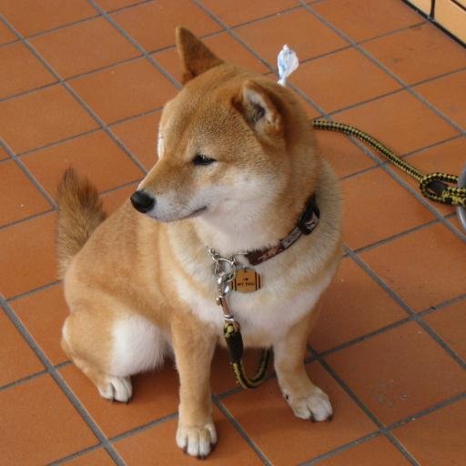 大阪でヴィンテージとレガシーをぼちぼちやってます。光物好き。