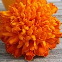 jan erik mortensen - @Nenik_Barbu - Twitter