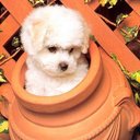 Karissa Edwards - @ForestGirl101 - Twitter