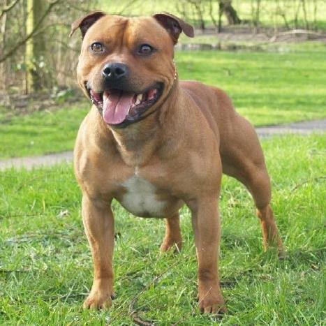 Davidm8882's profile picture. I may not win but I can come the best second you ever saw.Supporter of a “no deal “Brexit. 🇬🇧🏴󠁧󠁢󠁥󠁮󠁧󠁿🇺🇸🇦🇺🇳🇿🇨🇦🇮🇱 🇬🇷.l stand with Israel 👍