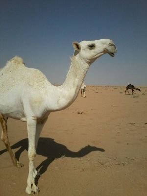 ‏‏منهج الحياه بسيط جدا : مادمت لم توذي احد دع الجميع يتحدث وافعل ماترييد